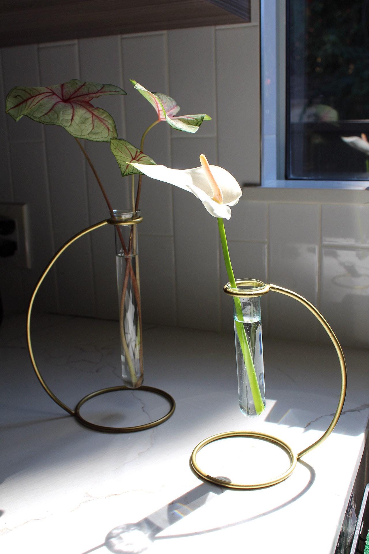 Propagation Tube Brass Stand Clear Glass Vase Modern Home Decor Plant Lover Gift Botanical Enthusiast Gift Indoor Plant Decor Living Room Decor Bedroom Decor Office Decor Boho Minimal