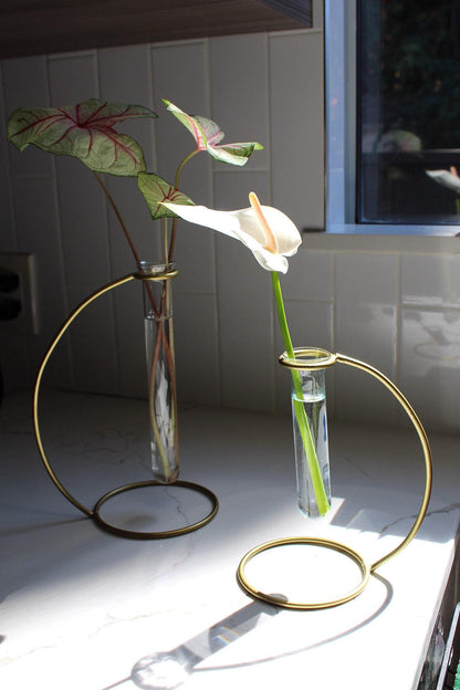 Propagation Tube Brass Stand Clear Glass Vase Modern Home Decor Plant Lover Gift Botanical Enthusiast Gift Indoor Plant Decor Living Room Decor Bedroom Decor Office Decor Boho Minimal
