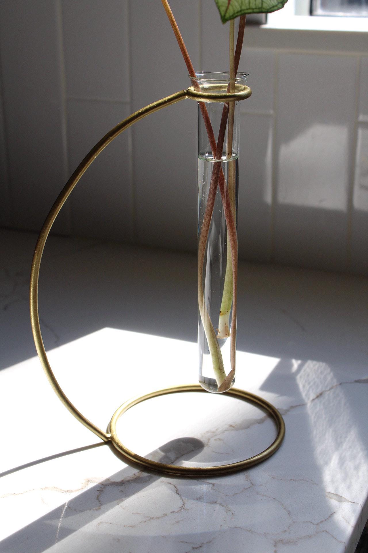 Propagation Tube Brass Stand Clear Glass Vase Modern Home Decor Plant Lover Gift Botanical Enthusiast Gift Indoor Plant Decor Living Room Decor Bedroom Decor Office Decor Boho Minimal