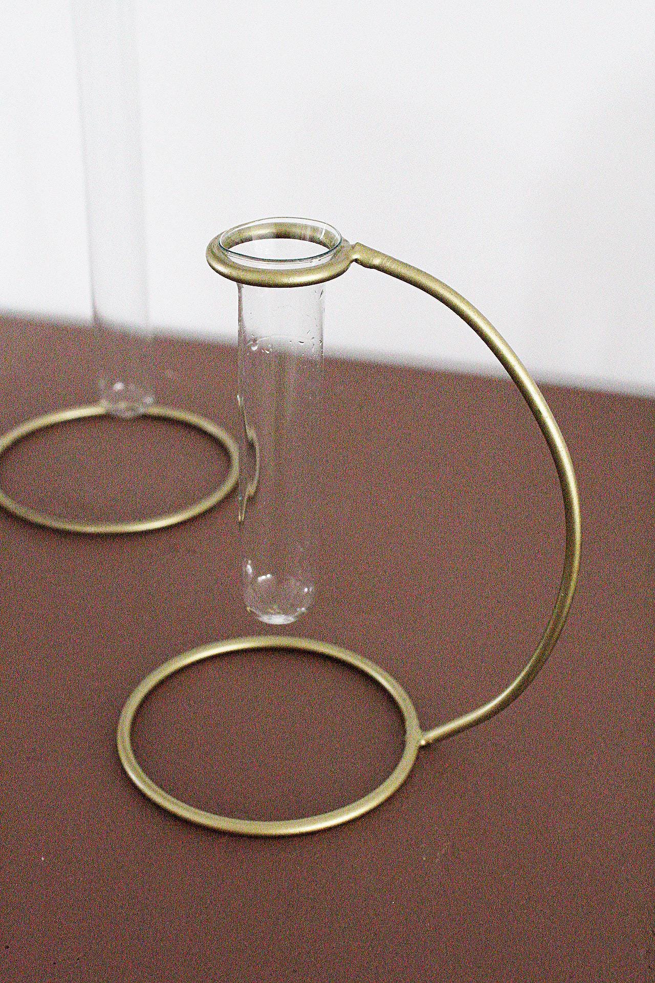 Propagation Tube Clear Glass Vase Removable Brass Stand Modern Home Decor Plant Lover Gift Single Flower Display Boho Minimal Wedding Centerpiece Event Decor Indoor Plant Decor