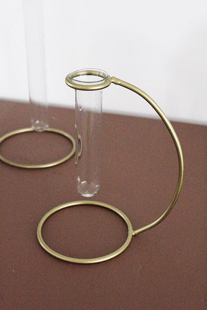Propagation Tube Clear Glass Vase Removable Brass Stand Modern Home Decor Plant Lover Gift Single Flower Display Boho Minimal Wedding Centerpiece Event Decor Indoor Plant Decor
