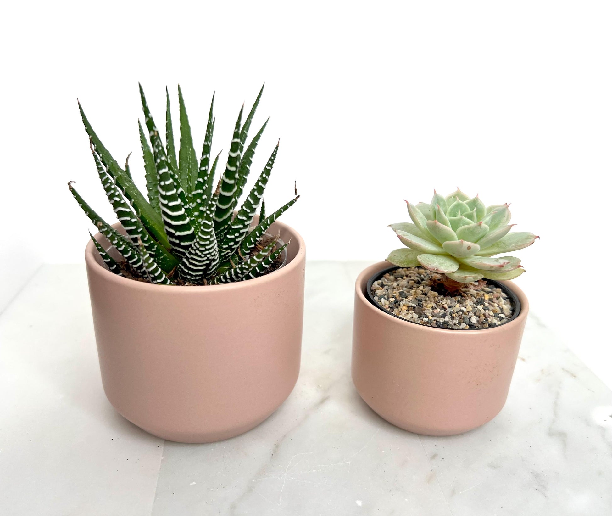 Mini Pink Ceramic Planter Succulent Planter Small Planter Indoor Planter Desk Planter Plant Lover Gift Housewarming Gift Modern Home Decor Cactus Planter Windowsill Planter Teacher Gift