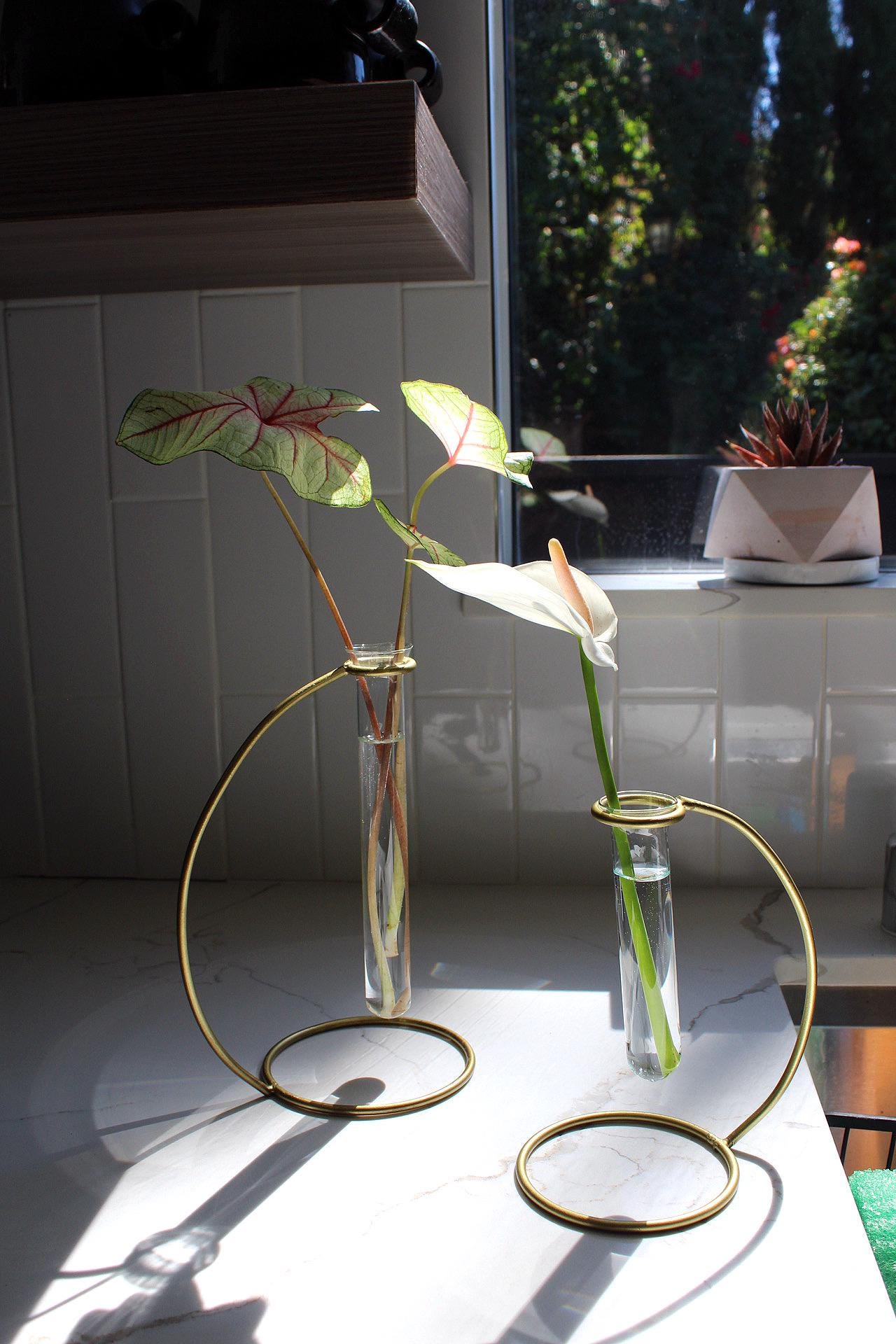 Glass Propagation Tube Brass Stand Bud Vase Modern Home Decor Plant Lover Gift Single Flower Display Boho Minimal Wedding Centerpiece Event Decor Indoor Plant Decor Living Room Bedroom Office Clear Glass Vase