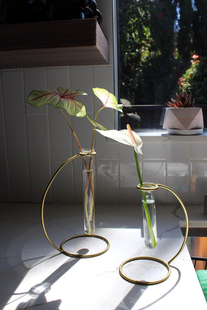 Glass Propagation Tube Brass Stand Bud Vase Modern Home Decor Plant Lover Gift Single Flower Display Boho Minimal Wedding Centerpiece Event Decor Indoor Plant Decor Living Room Bedroom Office Clear Glass Vase