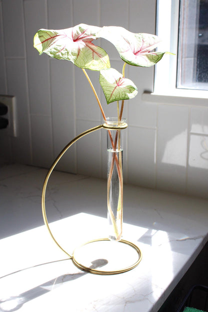 Glass Bud Vase Propagation Tube Removable Brass Stand Minimal Decor Boho Decor Single Flower Display Plant Propagation Modern Home Decor Minimalist Floral Arrangement Wedding Centerpiece