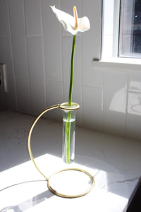 Glass Bud Vase Propagation Tube Removable Brass Stand Minimal Decor Boho Decor Single Flower Display Plant Propagation Modern Home Decor Minimalist Floral Arrangement Wedding Centerpiece