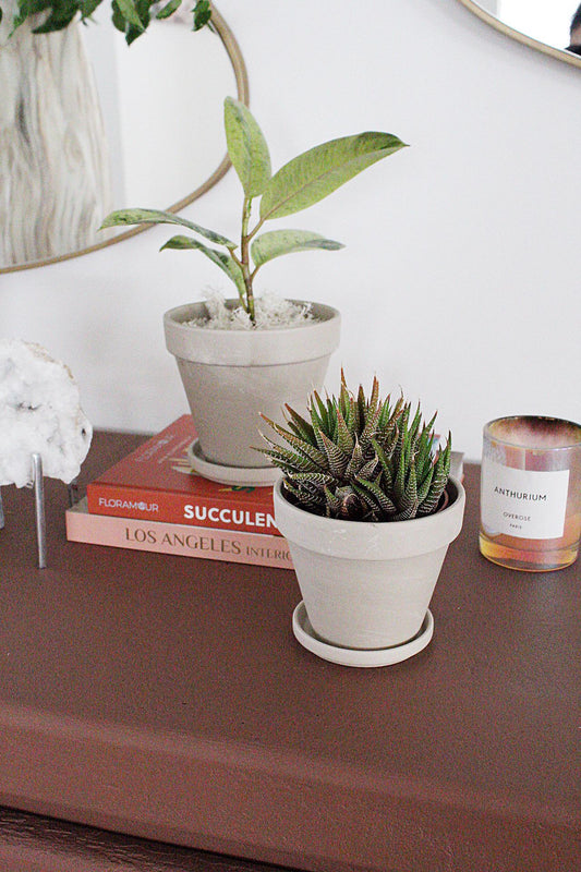 Terracotta Plant Pot Clay Pot Indoor Planter Plant Pot with Saucer Plant Lover Gift Small Planter Minimalist Planter Desk Plant Pot Home Decor