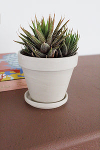 Planter Pots with Saucers Terracotta Pots Clay Pots Flower Pots Indoor Planters Small Plant Container Starter Plant Pot Drainage Saucer Included Desk Plant