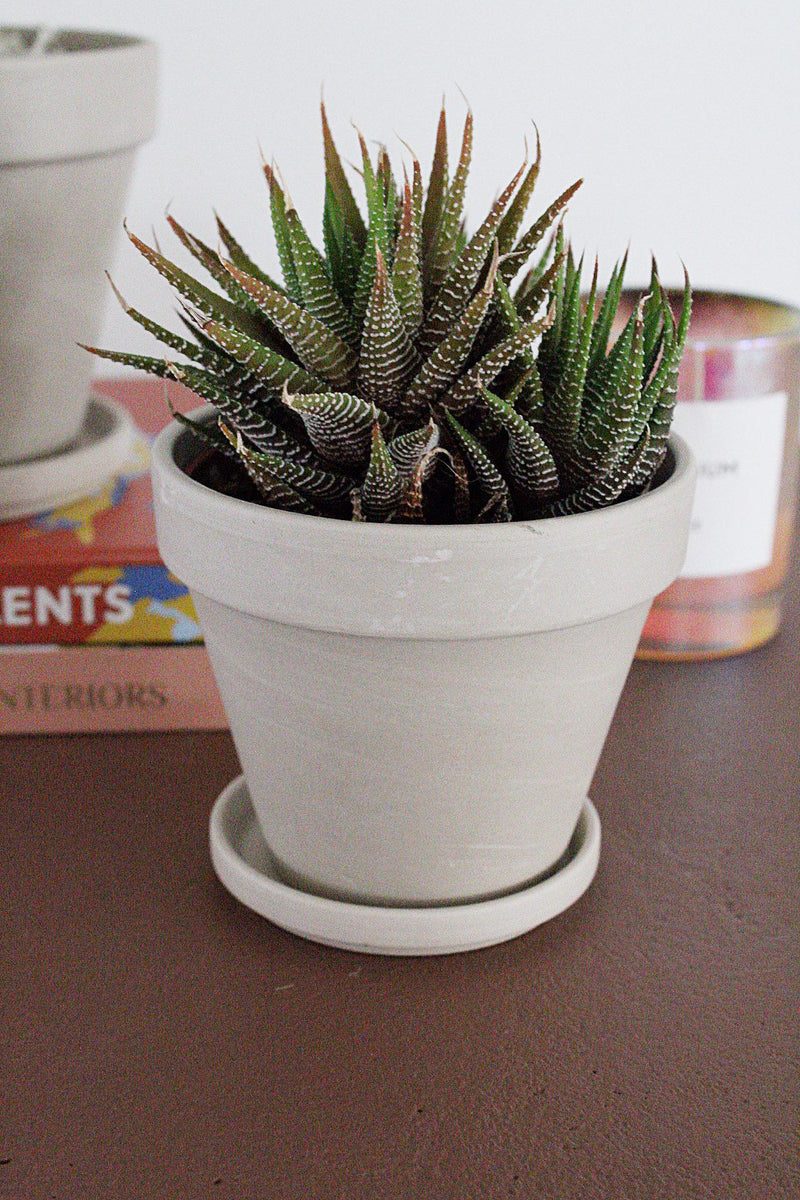 Succulent Planter Drainage Pot Plant Pot with Saucer Small Clay Pot Indoor Planter Tabletop Planter Desk Plant Pot Neutral Planter Home Container