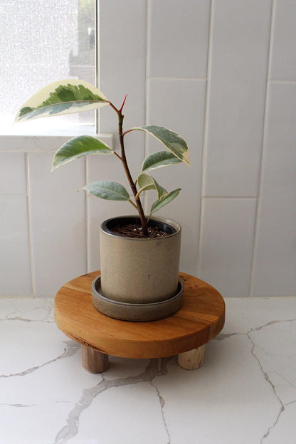 Small Ceramic Planter Succulent Pot Cactus Pot Indoor Planter Window Sill Planter Drainage Pot Brown Plant Pot Desk Planter Mini Herb Planter Modern Planter