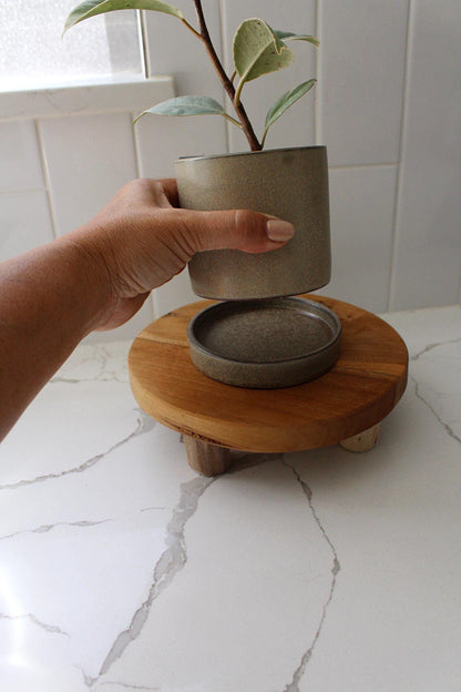 Brown Plant Pot Ceramic Pot Planter Flower Pot Indoor Planter Outdoor Planter Succulent Planter Cactus Pot Small Planter Tabletop Planter Modern Planter