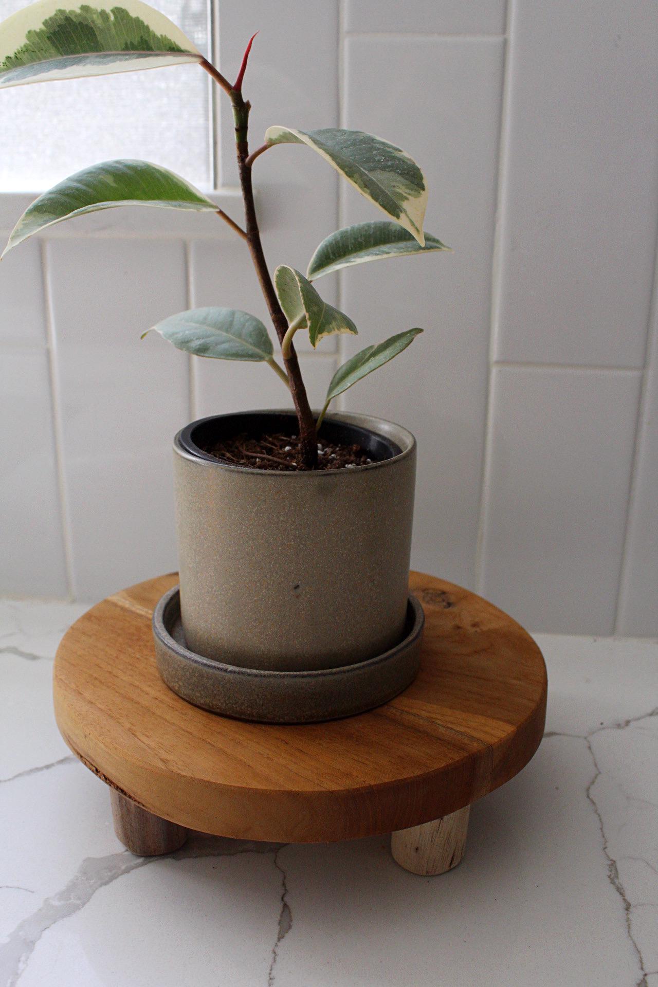 Windowsill Planter Desk Planter Drainage Pot Small Ceramic Planter Indoor Planter Apartment Planter Plant Starter Pot Minimalist Planter Brown Plant Pot Office Plant Pot