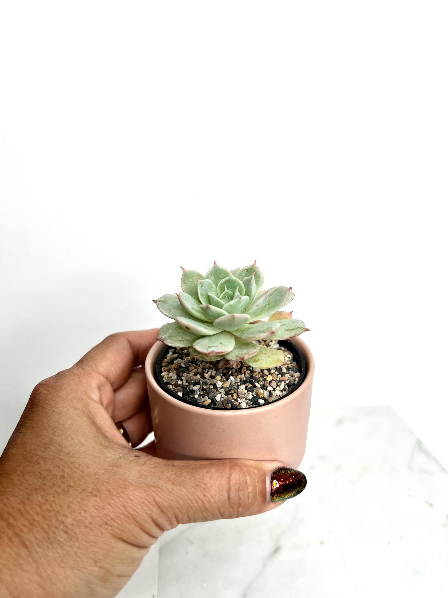 Pink Planter Ceramic Planter Mini Planter Small Planter Succulent Pot Cactus Planter Desk Decor Apartment Decor Plant Lover Gift Birthday Gift for Her Coworker Gift