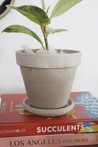 Planter Pots with Saucers Terracotta Pots Clay Pots Flower Pots Indoor Planters Small Plant Container Starter Plant Pot Drainage Saucer Included Desk Plant
