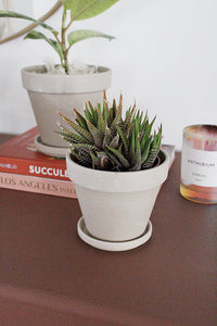 Small Clay Pot Succulent Planter Indoor Planter Drainage Pot Plant Pot with Drainage Plant Parent Gift Modern Planter Neutral Planter Tabletop Planter