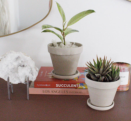 Terracotta Plant Pot Clay Pot Indoor Planter Plant Pot with Saucer Plant Lover Gift Small Planter Minimalist Planter Desk Plant Pot Home Decor