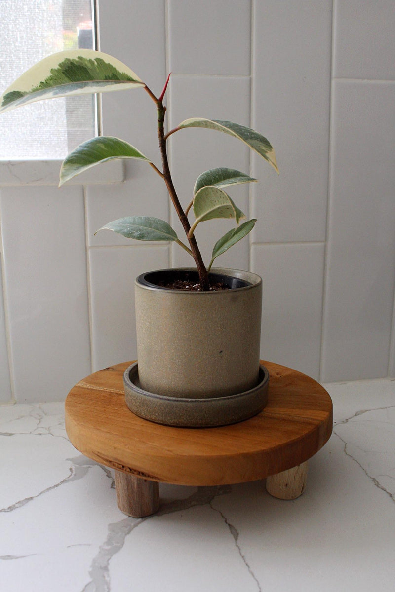 Small Ceramic Planter Succulent Pot Cactus Pot Indoor Planter Window Sill Planter Drainage Pot Brown Plant Pot Desk Planter Mini Herb Planter Modern Planter