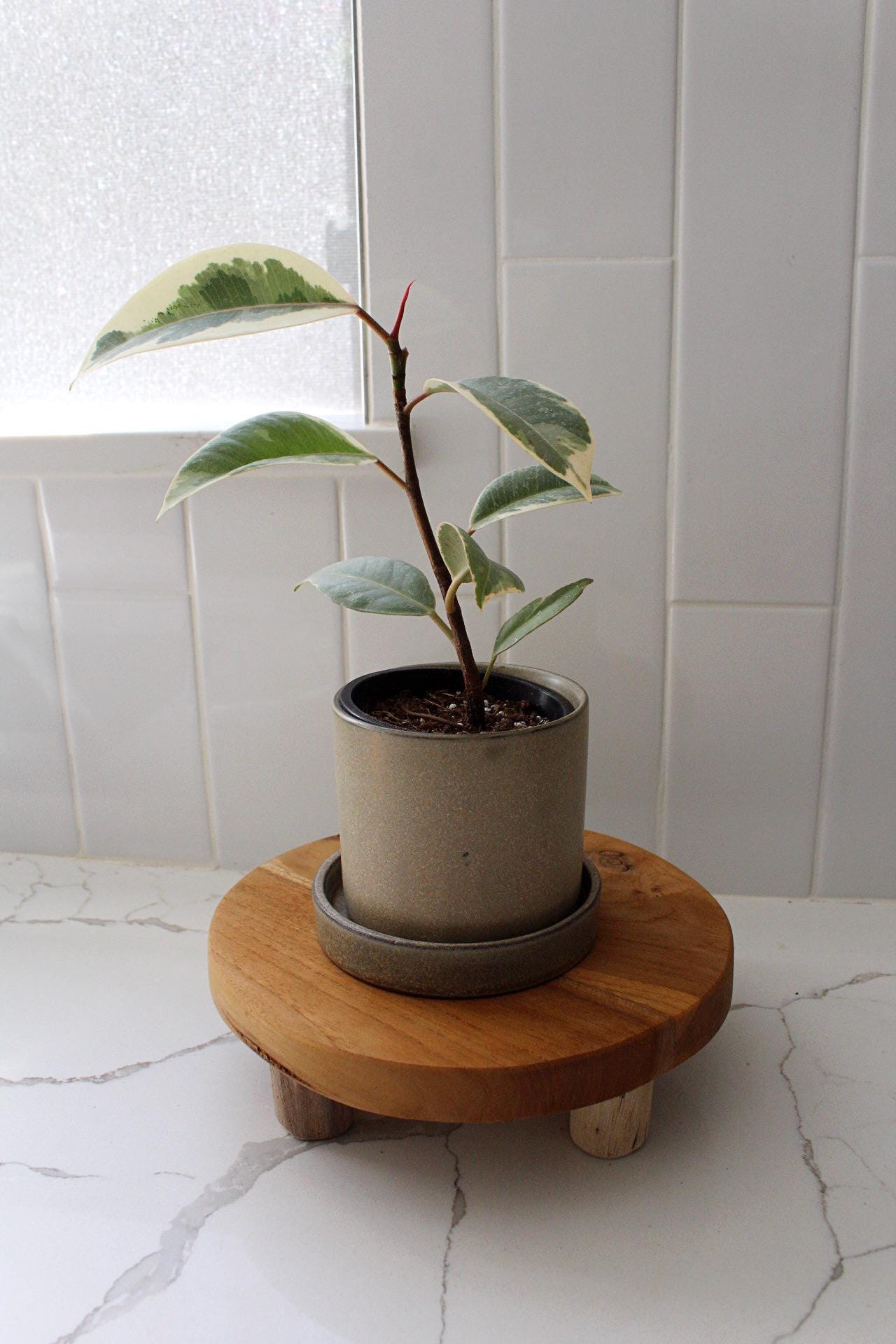 Windowsill Planter Desk Planter Drainage Pot Small Ceramic Planter Indoor Planter Apartment Planter Plant Starter Pot Minimalist Planter Brown Plant Pot Office Plant Pot