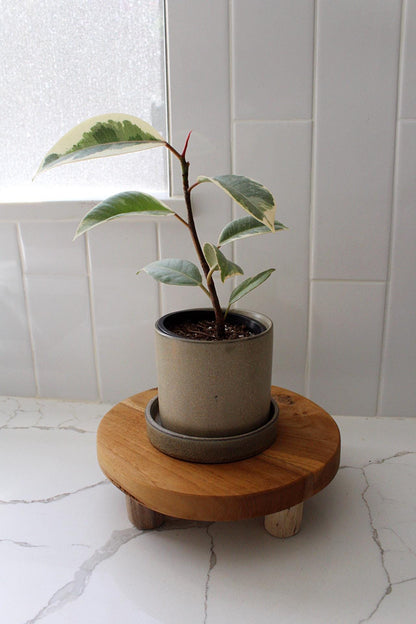 Windowsill Planter Desk Planter Drainage Pot Small Ceramic Planter Indoor Planter Apartment Planter Plant Starter Pot Minimalist Planter Brown Plant Pot Office Plant Pot