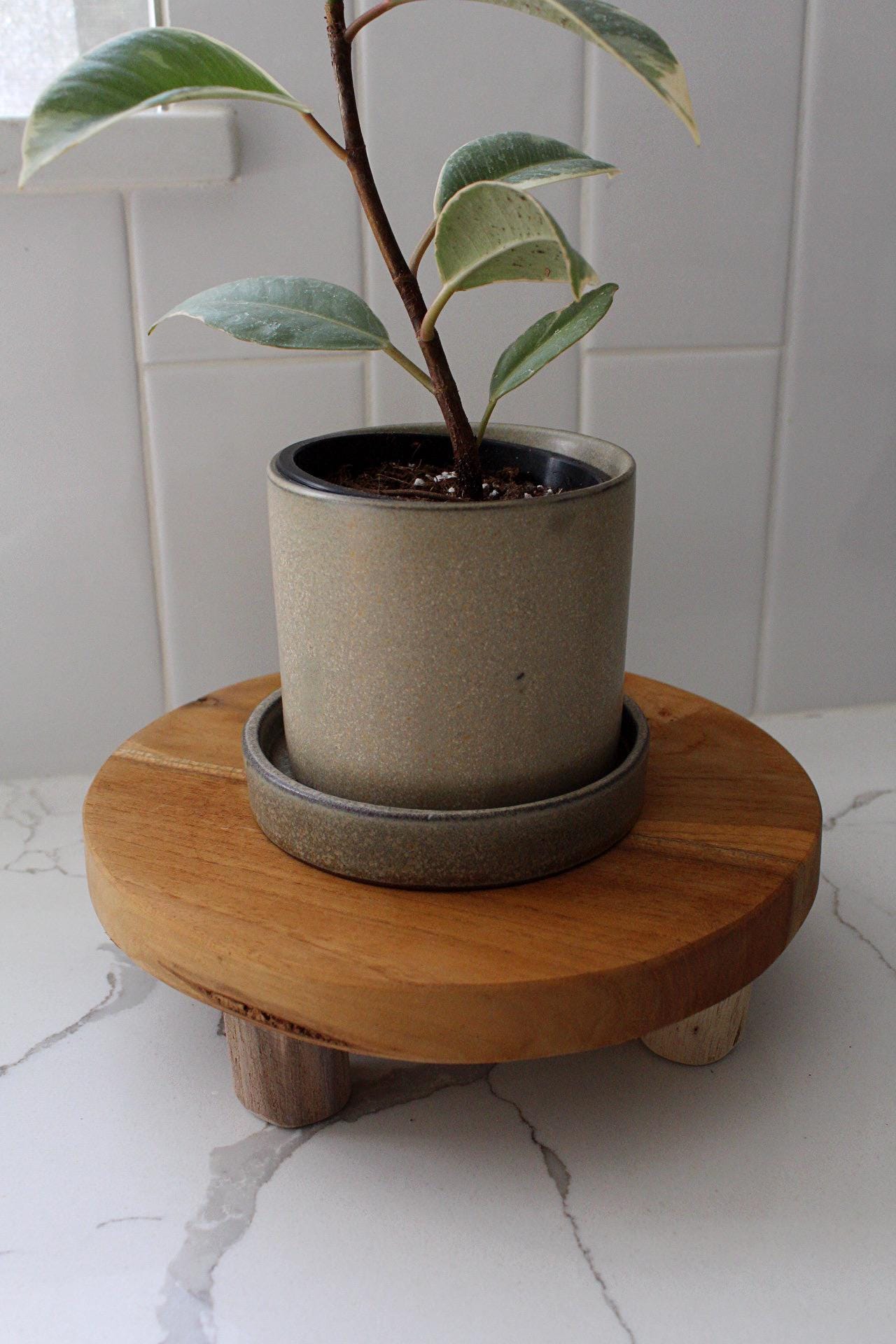 Plant Gift Houseplant Container Succulent Planter Cactus Planter Herb Pot Small Planter Brown Ceramic Planter Tabletop Planter Decorative Planter Mini Planter