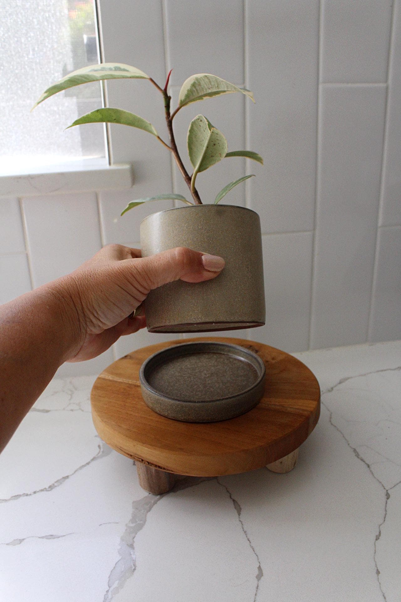 Brown Plant Pot Ceramic Pot Planter Flower Pot Indoor Planter Outdoor Planter Succulent Planter Cactus Pot Small Planter Tabletop Planter Modern Planter