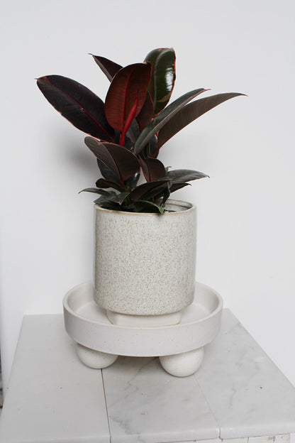 Small White Ceramic Plant Saucer – Indoor Tray Riser, Modern Decor