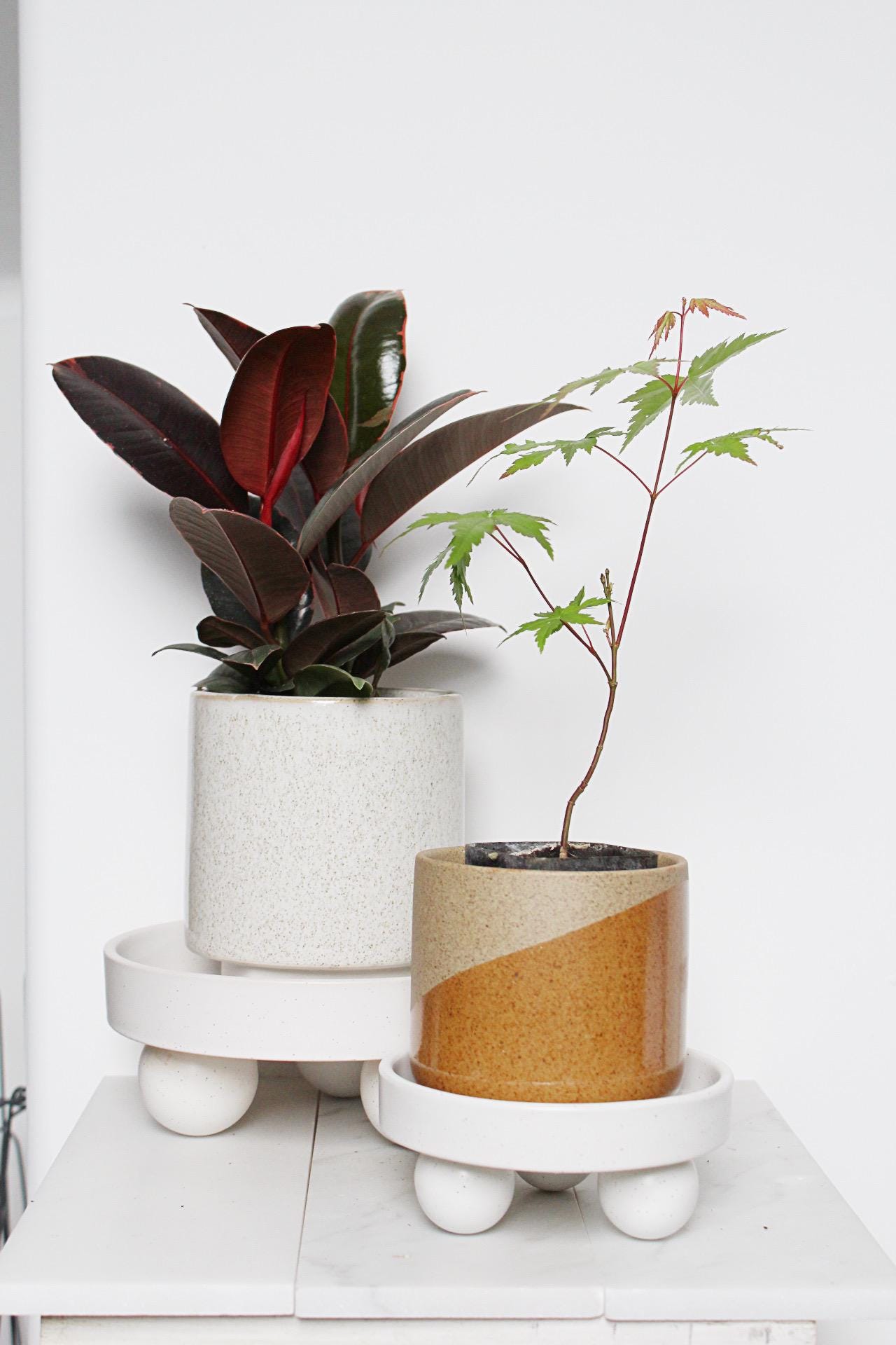 Small White Ceramic Plant Saucer – Indoor Tray Riser, Modern Decor