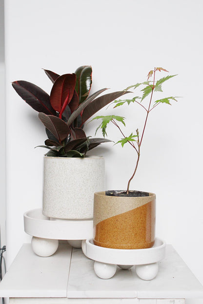 Small White Ceramic Plant Saucer – Indoor Tray Riser, Modern Decor