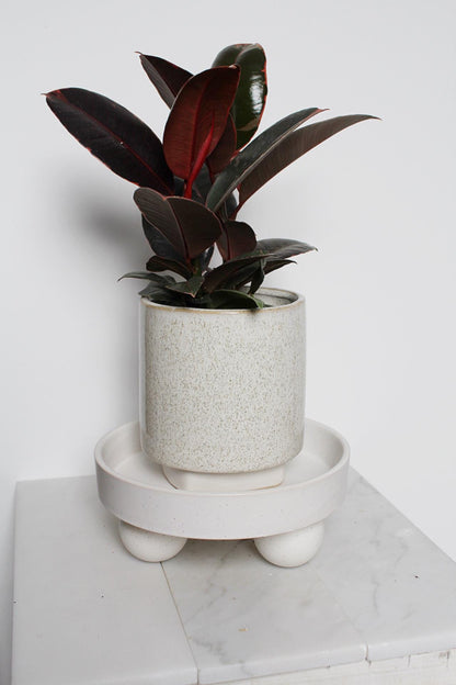 Small White Ceramic Plant Saucer – Indoor Tray Riser, Modern Decor