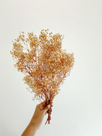Pink Baby’s Breath – Dried Floral Arrangement
