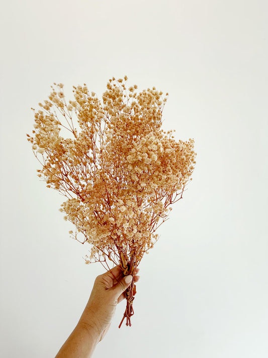 Pink Baby’s Breath – Dried Floral Arrangement
