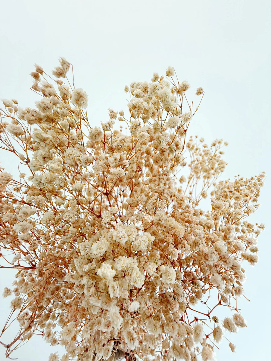 Pink Baby’s Breath – Dried Floral Arrangement