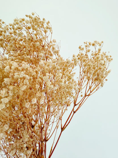 Pink Baby’s Breath – Dried Floral Arrangement