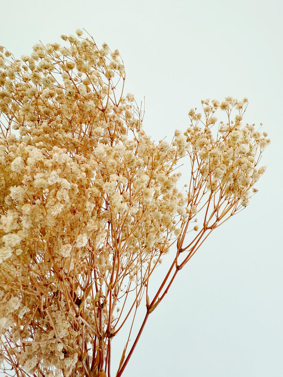 Pink Baby’s Breath – Dried Floral Arrangement
