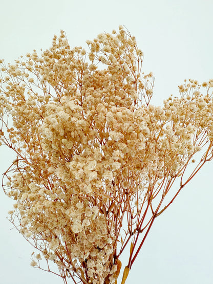 Pink Baby’s Breath – Dried Floral Arrangement
