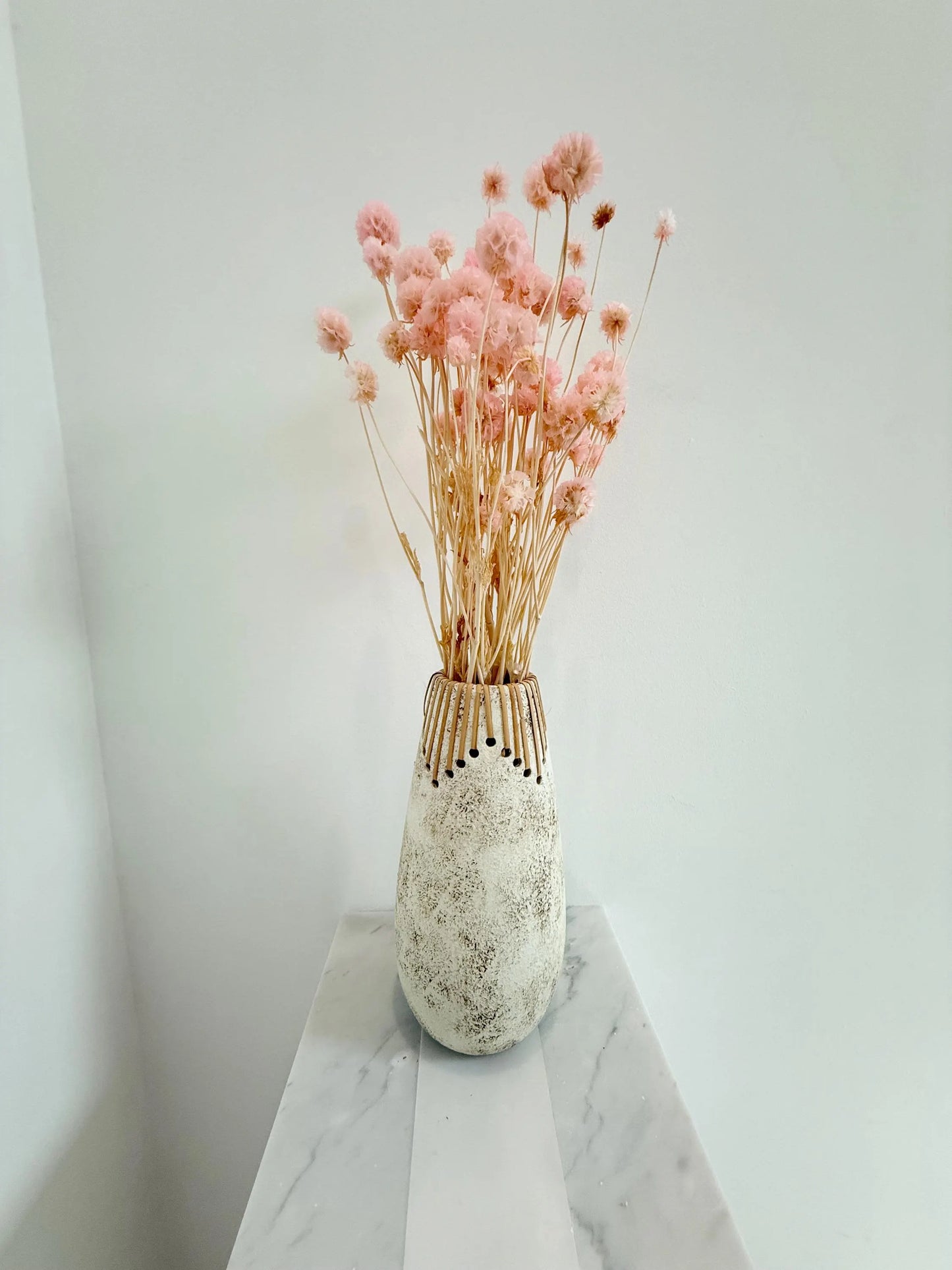 Pink Scabiosa Stellata – Dried Flower Arrangement