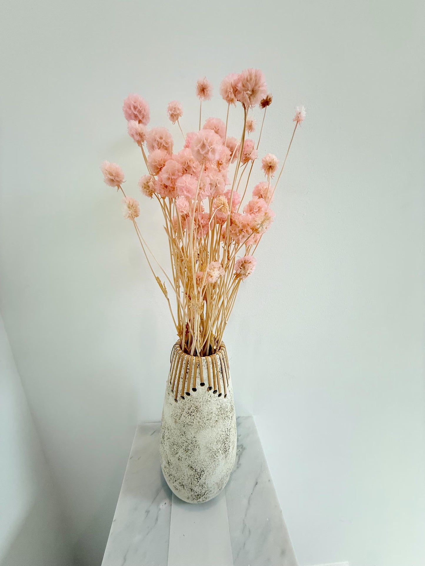 Pink Scabiosa Stellata – Dried Flower Arrangement