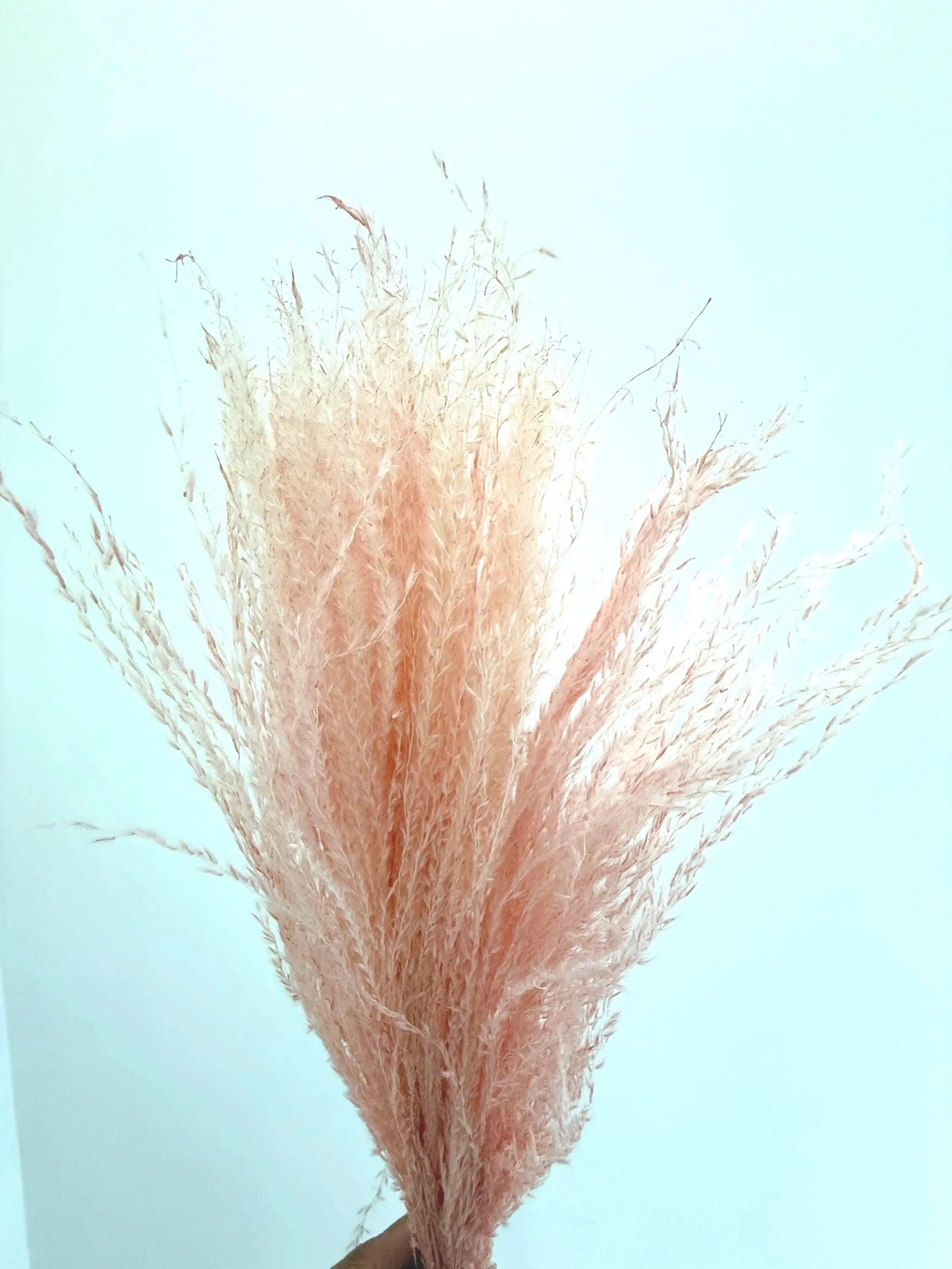 Preserved Pink Bouquet – Dried Floral Arrangement