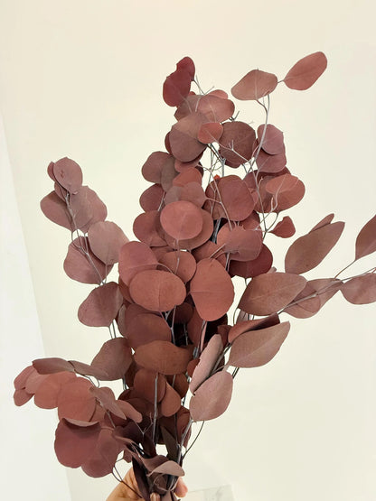 Burgundy Eucalyptus Stem – Dried Floral Arrangement