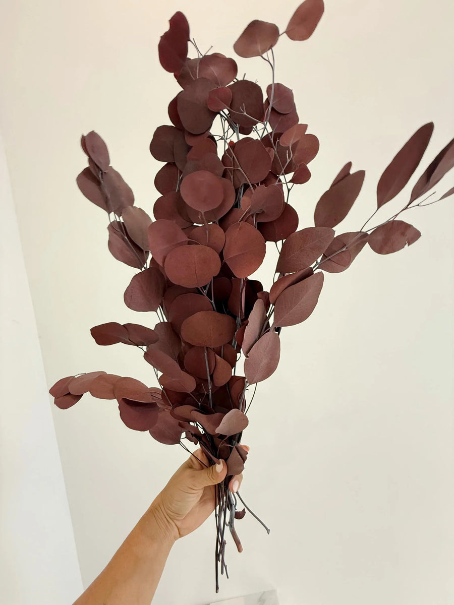 Burgundy Eucalyptus Stem – Dried Floral Arrangement
