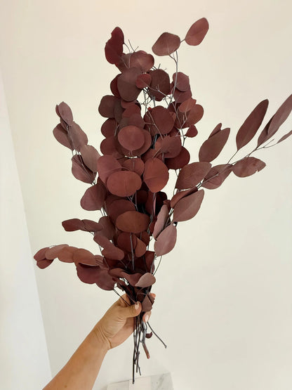 Burgundy Eucalyptus Stem – Dried Floral Arrangement