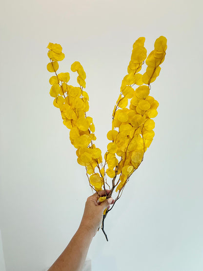 Yellow Eucalyptus Stem – Dried Floral Arrangement