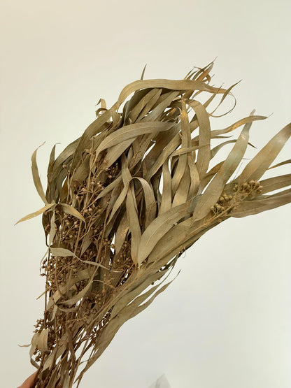 Gold Eucalyptus Stem - Dried Floral Arrangement