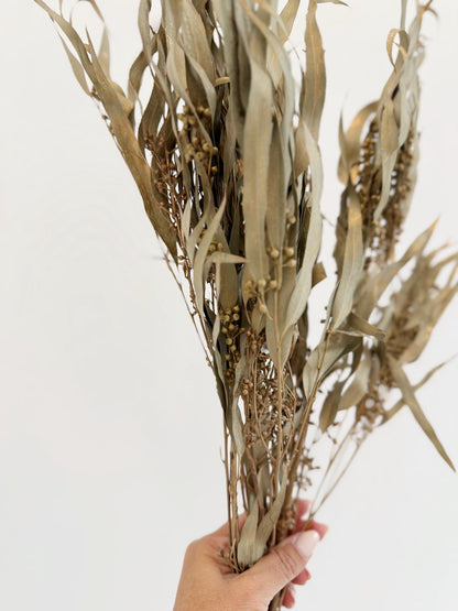 Gold Eucalyptus Stem - Dried Floral Arrangement