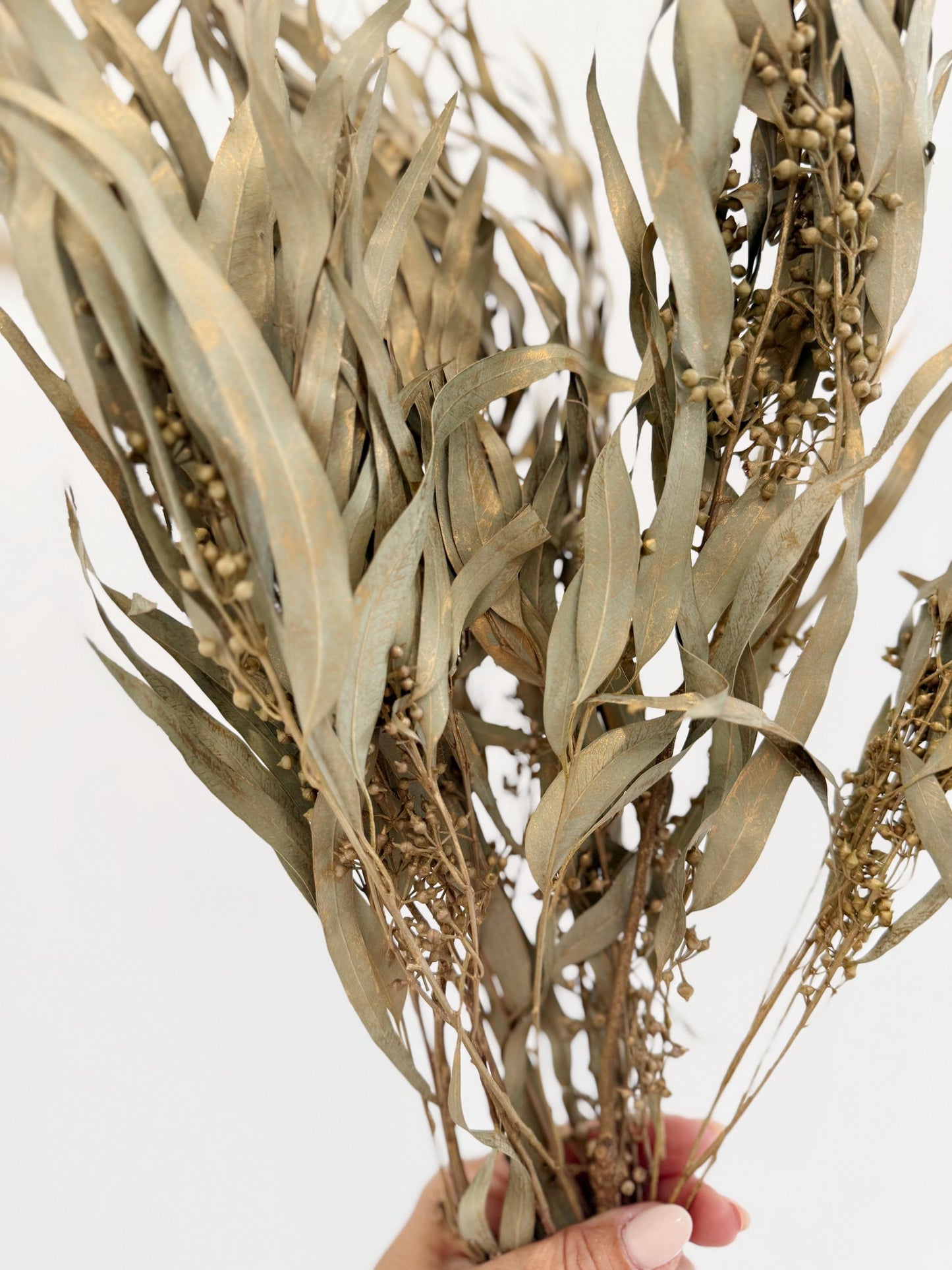 Gold Eucalyptus Stem - Dried Floral Arrangement