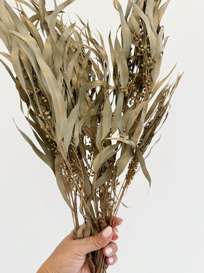 Gold Eucalyptus Stem - Dried Floral Arrangement