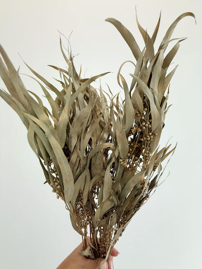 Gold Eucalyptus Stem - Dried Floral Arrangement