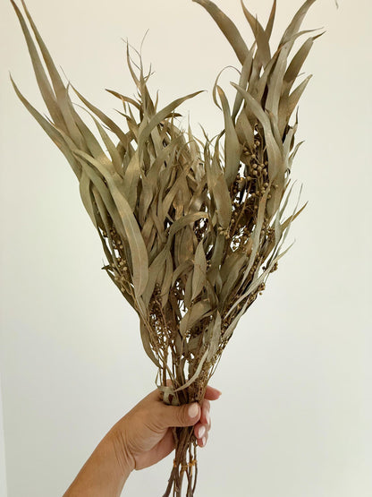 Gold Eucalyptus Stem - Dried Floral Arrangement