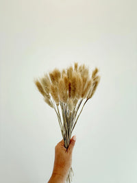 Terracotta Ceramic Vase – Minimalist Table Accent