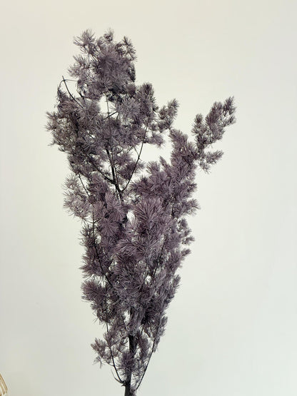 Purple Asparagus Stem – Dried Floral Arrangement
